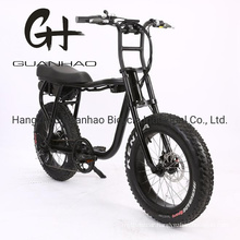 20inch En15194/CE OEM/ODM Samsung 17ah Battery New Ebike with Motor 48V 1000W Fat Tire Super 73 Electric Bike